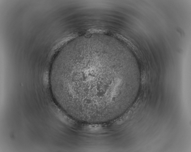 X0000115260353200911131751