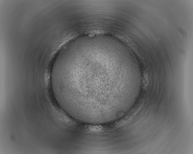 X0000115260355200911131751