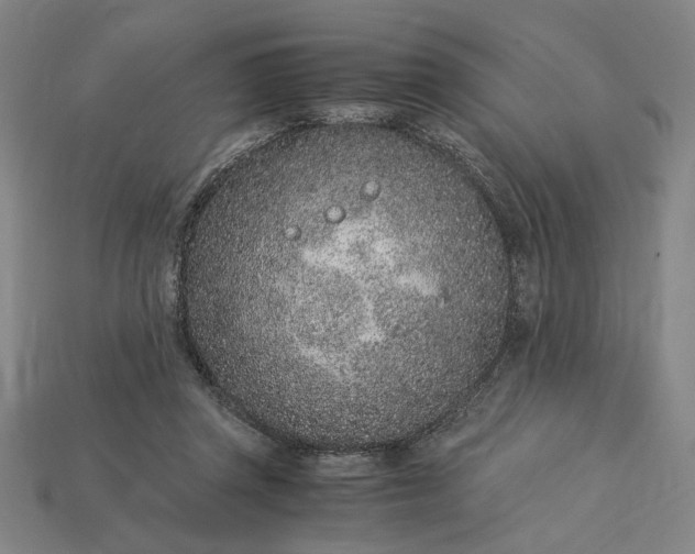 X0000115260357200911131751