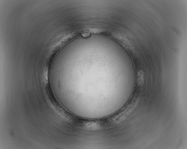 X0000115260358200911131751