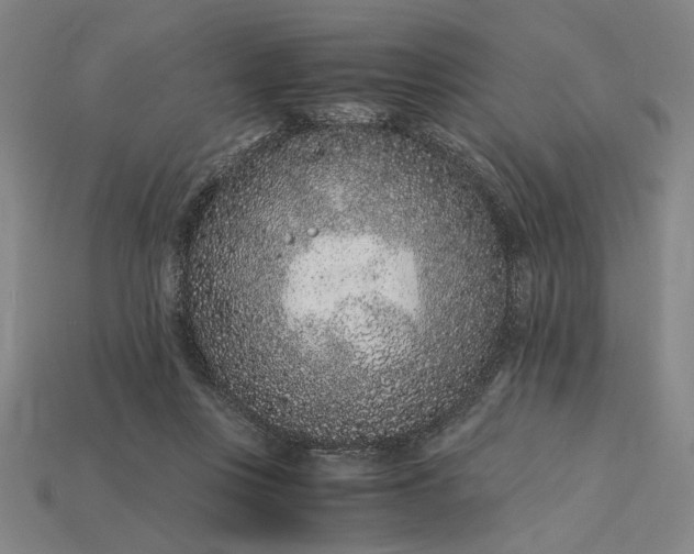 X0000115260359200911131751
