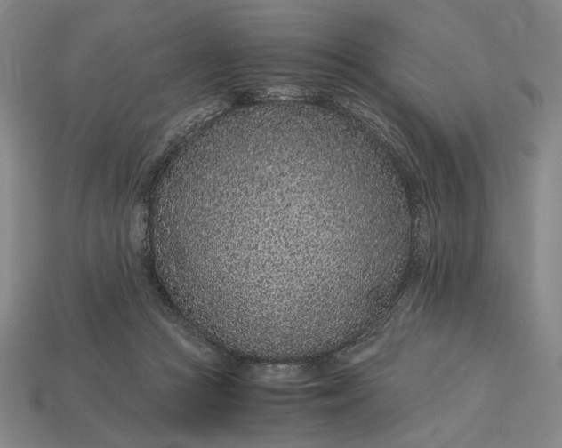 X0000115260361200911131751