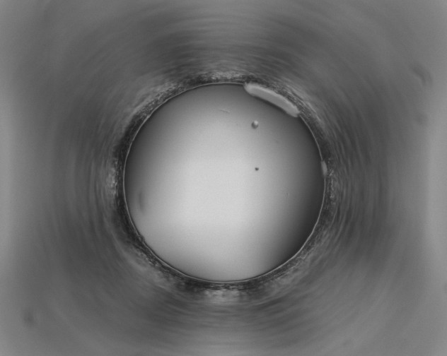 X0000115260362200911131751