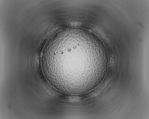 X0000115260363200911131751
