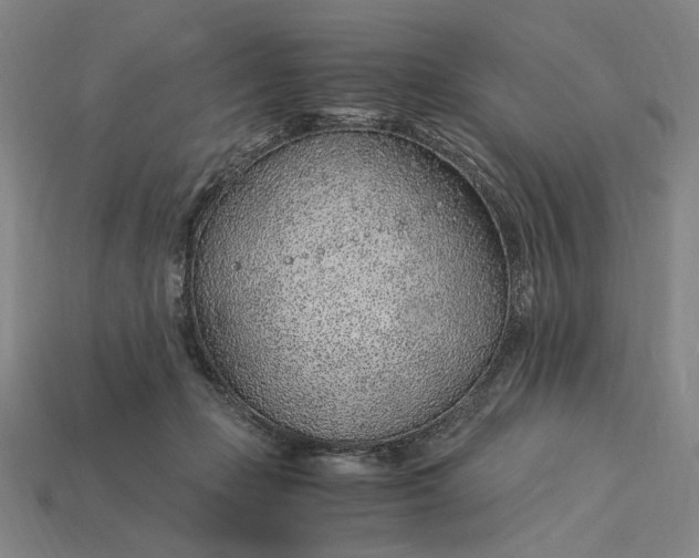 X0000115260365200911131751