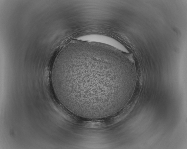 X0000115260366200911131751