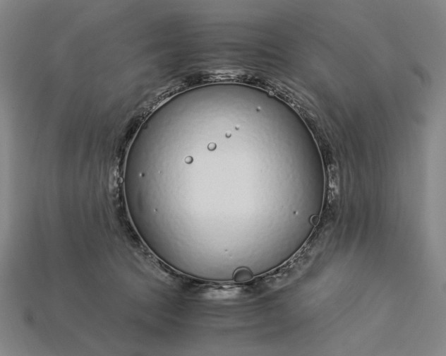 X0000115260369200911131751