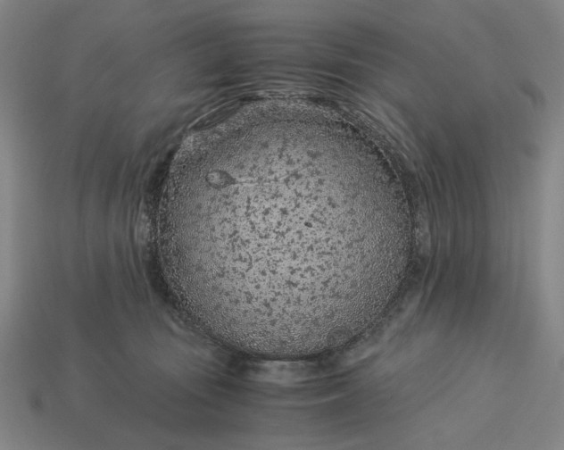 X0000115260371200911131751