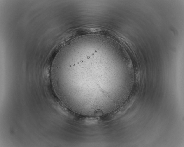 X0000115260373200911131751