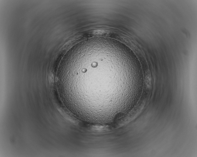 X0000115260375200911131751