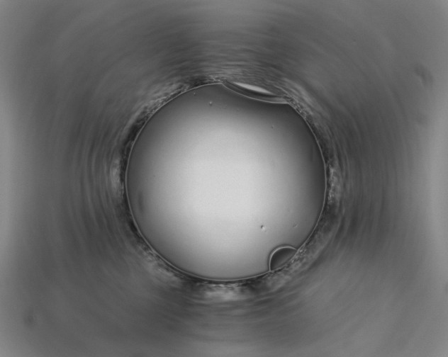 X0000115260377200911131751