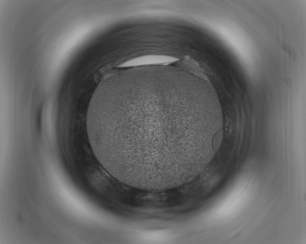 X0000115260383200911131751