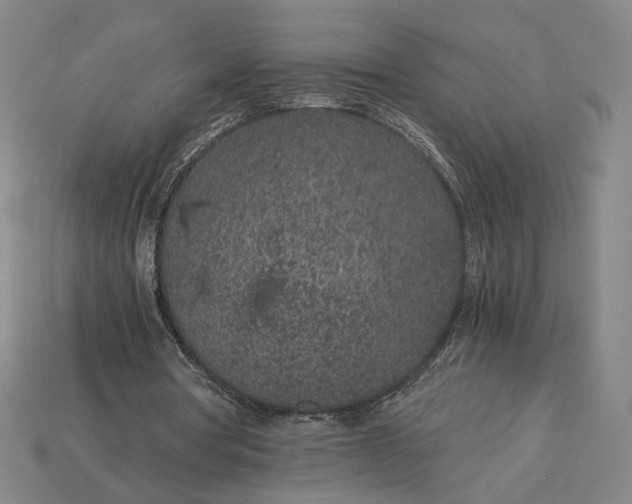 X0000115260386200911131751