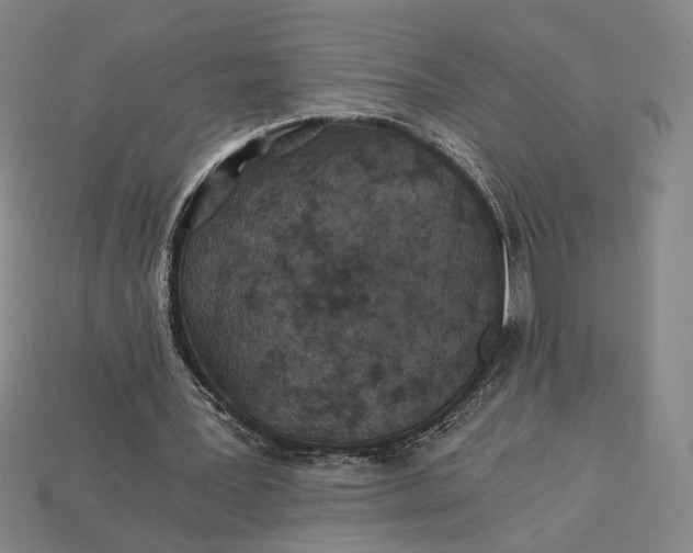 X0000115260387200911131751