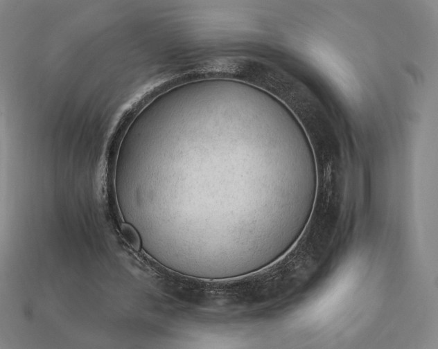 X0000115260388200911131751