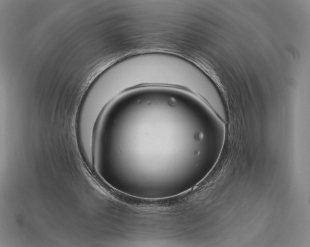 X0000115260389200911131751