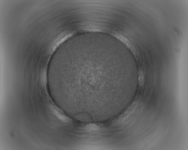 X0000115260390200911131751