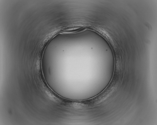 X0000115260393200911131750