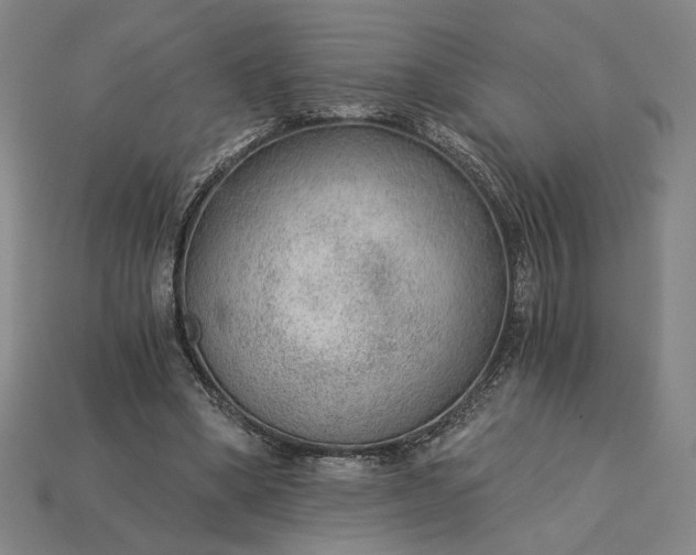 X0000115260394200911131750