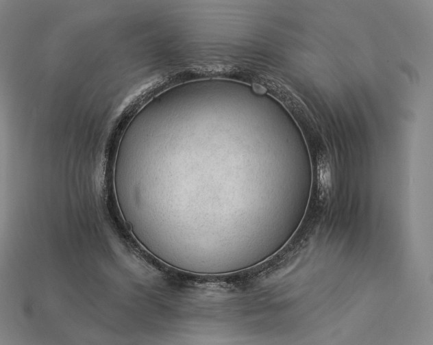 X0000115260396200911131750