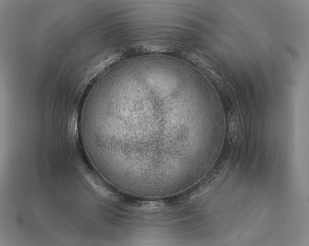 X0000115260398200911131750