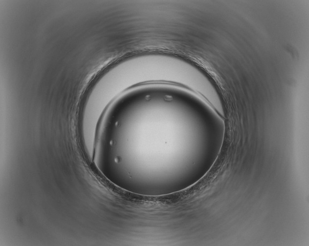 X0000115260399200911131750