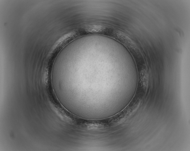 X0000115260400200911131750