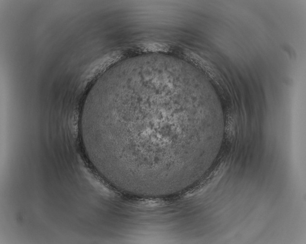 X0000115260402200911131750