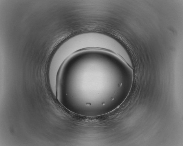 X0000115260403200911131750
