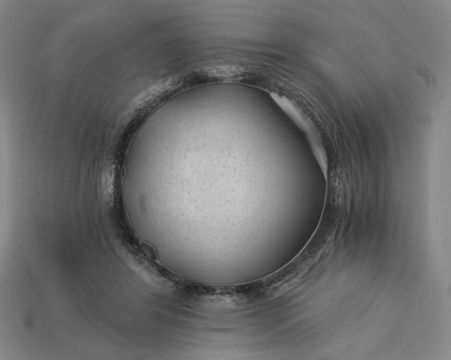 X0000115260404200911131750