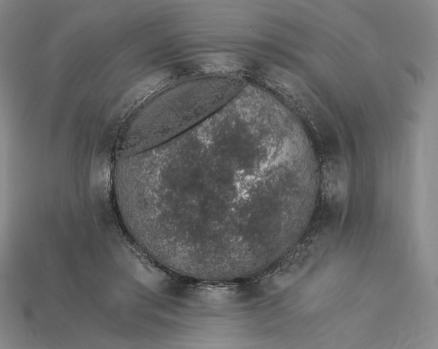 X0000115260405200911131750