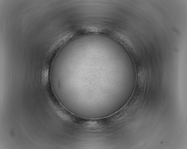 X0000115260406200911131750