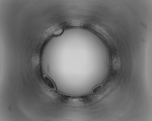 X0000115260407200911131750