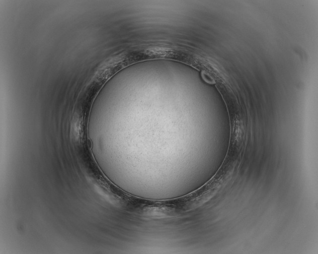 X0000115260408200911131750