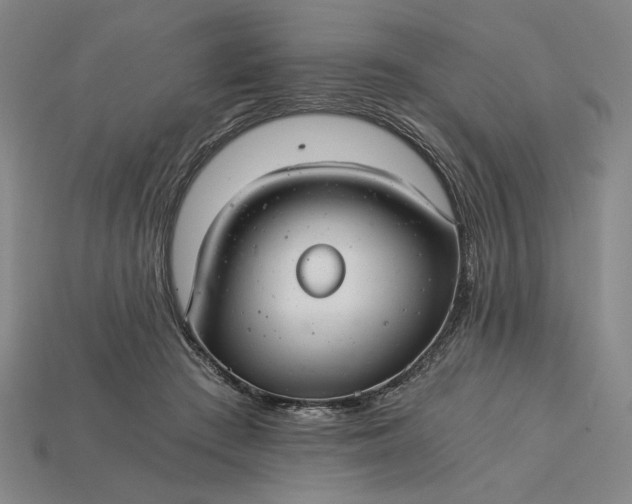 X0000115260409200911131750
