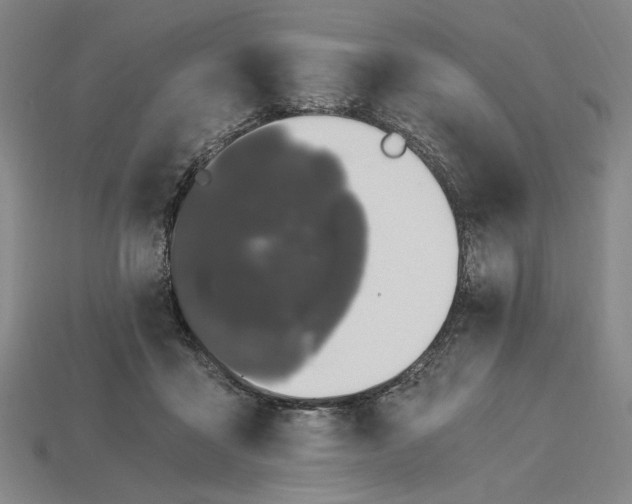 X0000115260411200911131750