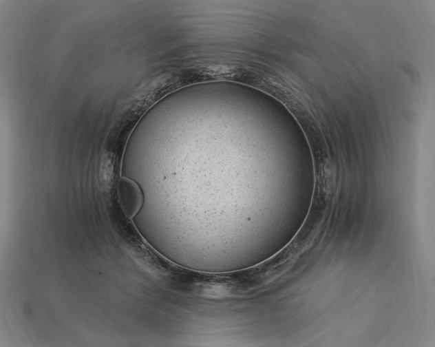 X0000115260412200911131750
