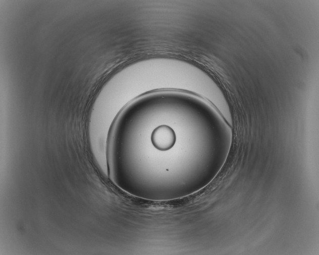 X0000115260415200911131750
