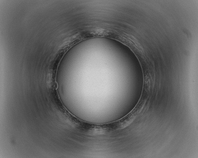 X0000115260416200911131750