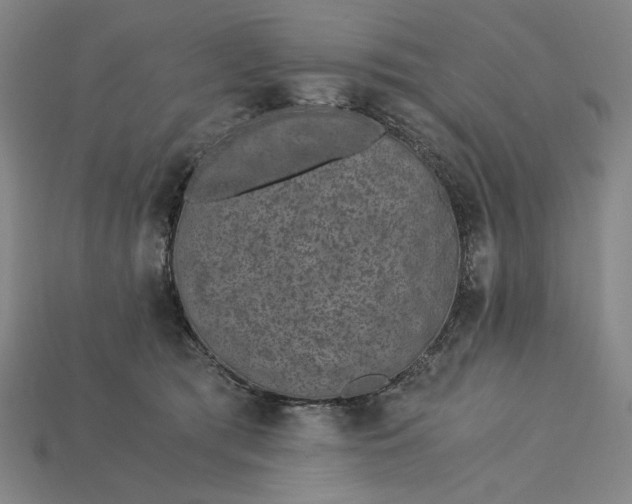 X0000115260417200911131750