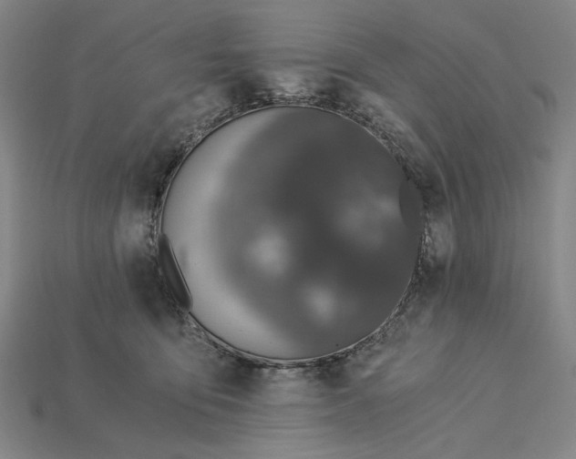 X0000115260419200911131750