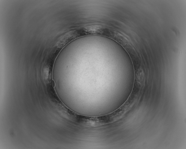 X0000115260420200911131750