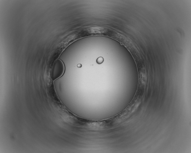 X0000115260422200911131750