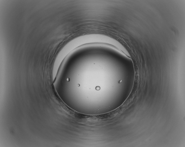 X0000115260423200911131750