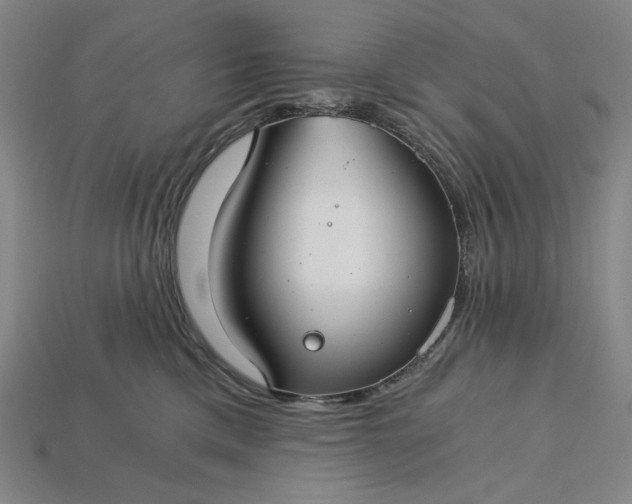 X0000115260425200911131750
