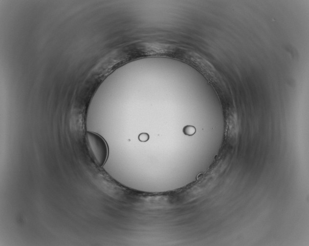 X0000115260426200911131750