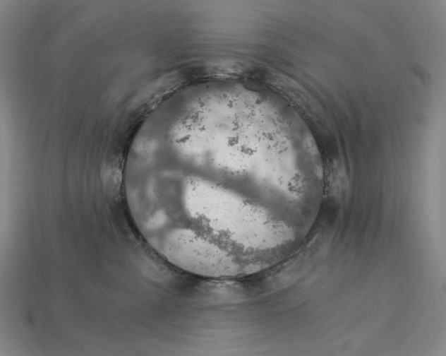 X0000115260427200911131750