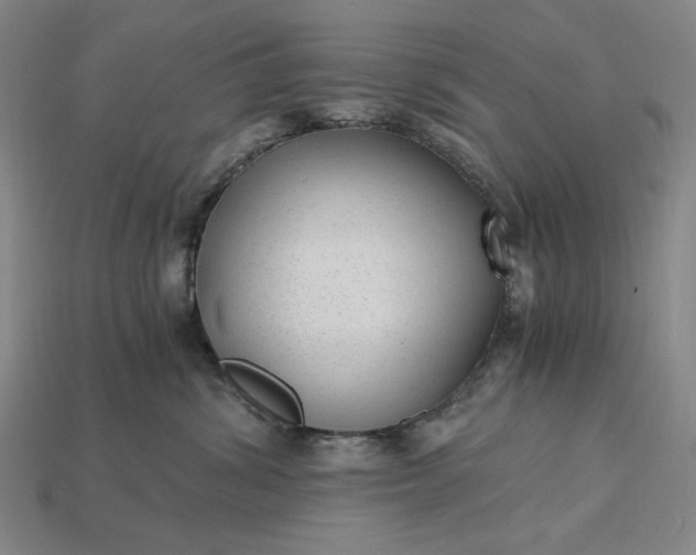 X0000115260428200911131750