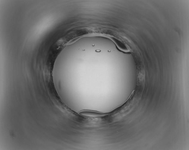 X0000115260429200911131750