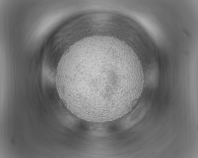 X0000115260431200911131750